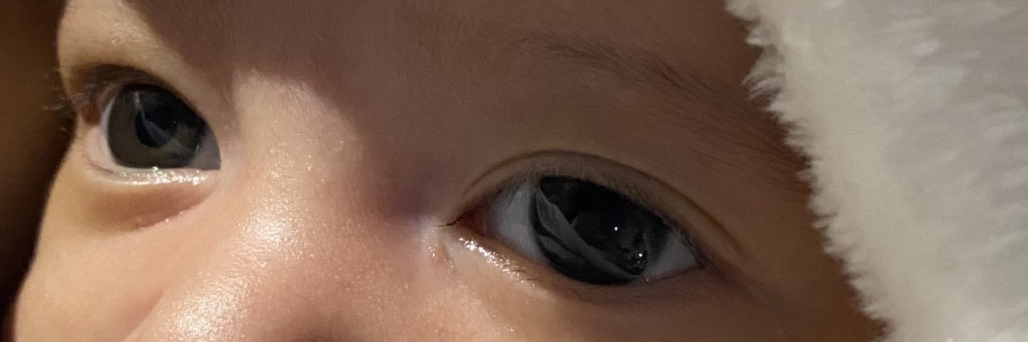 lsdeisy's profile banner image