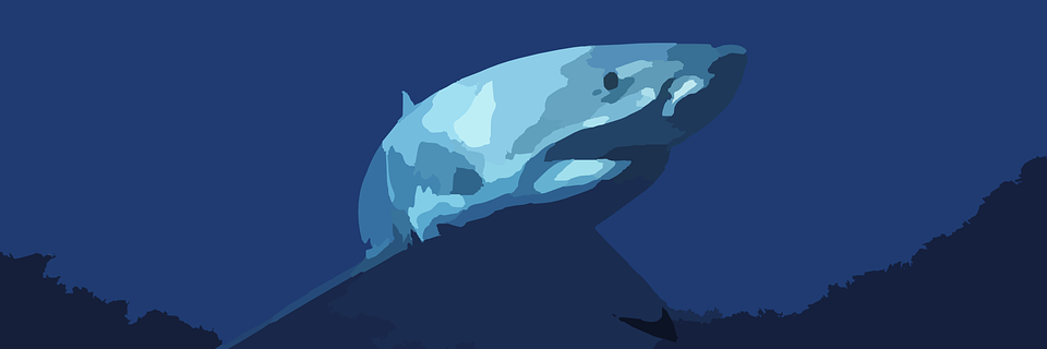 DJDOM91's profile banner image