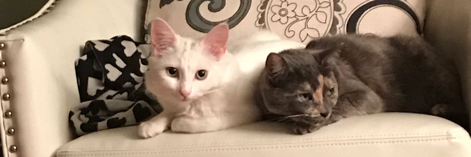 lesleyfabiolaa's profile banner image