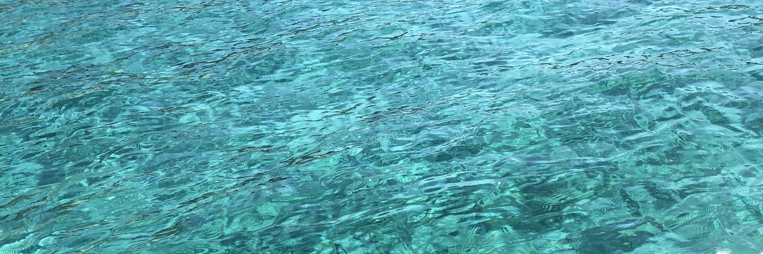 Fátima Albarrán banner