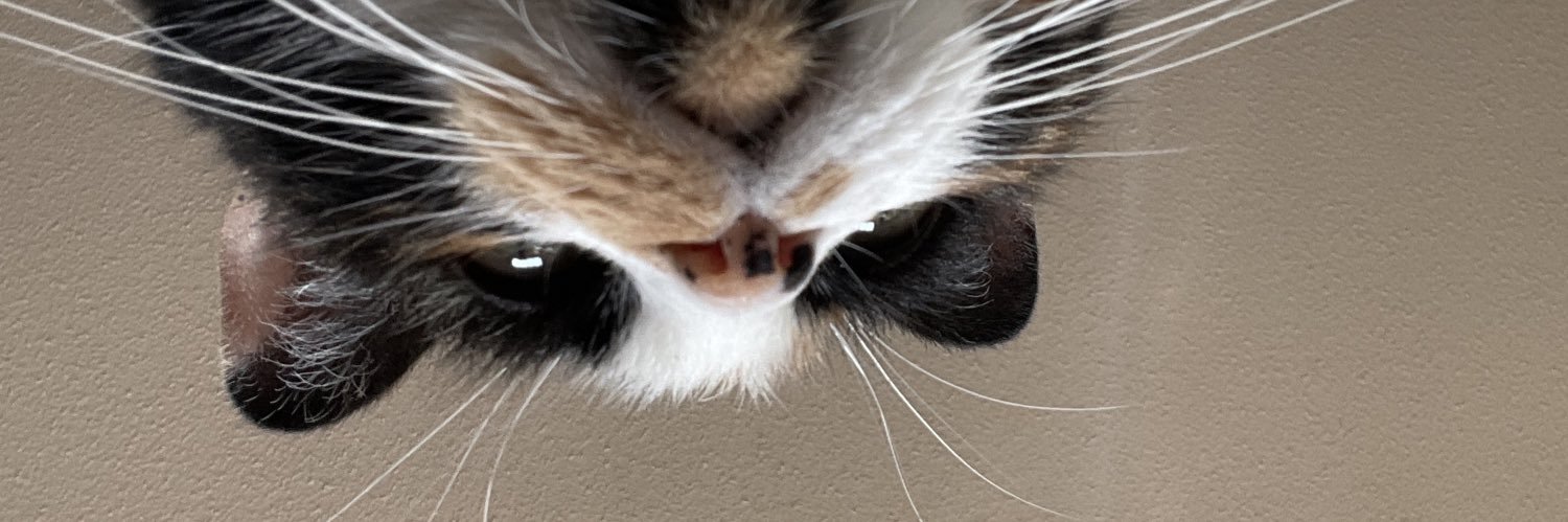 Kriz 🖤🩶🤍 banner