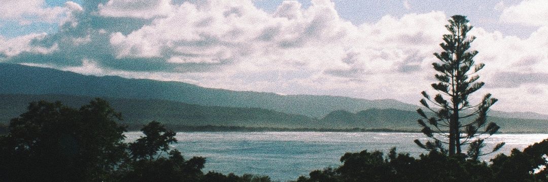 Gil Alexandel † banner