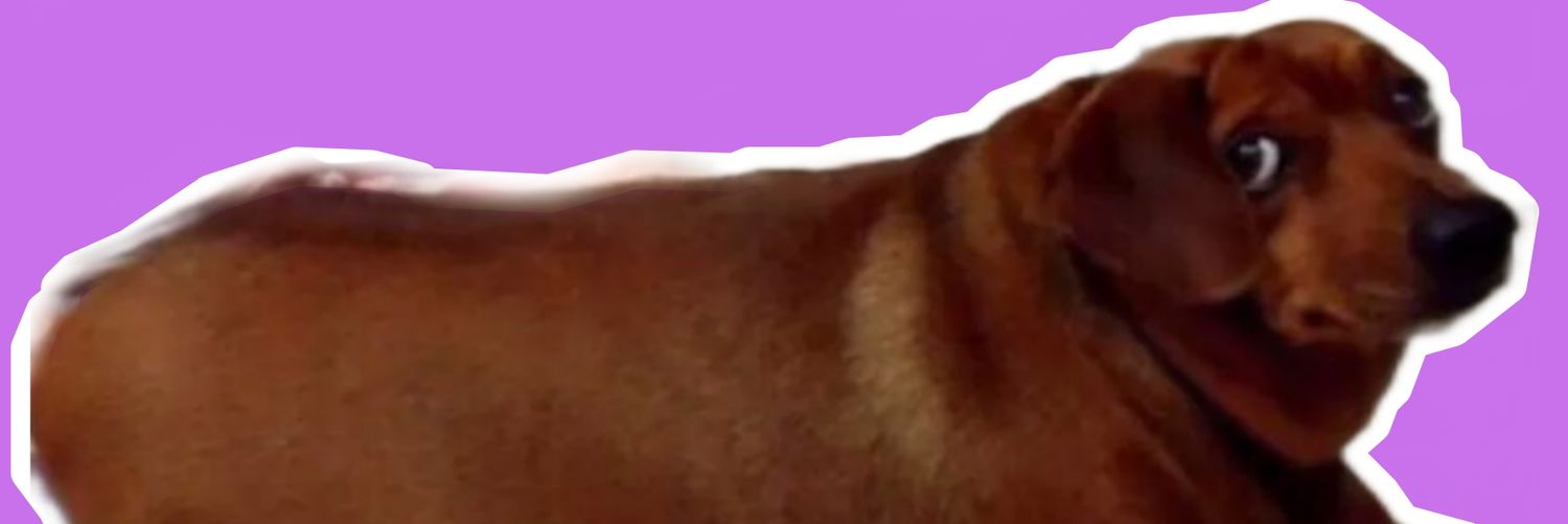 nosoyelmd's profile banner image