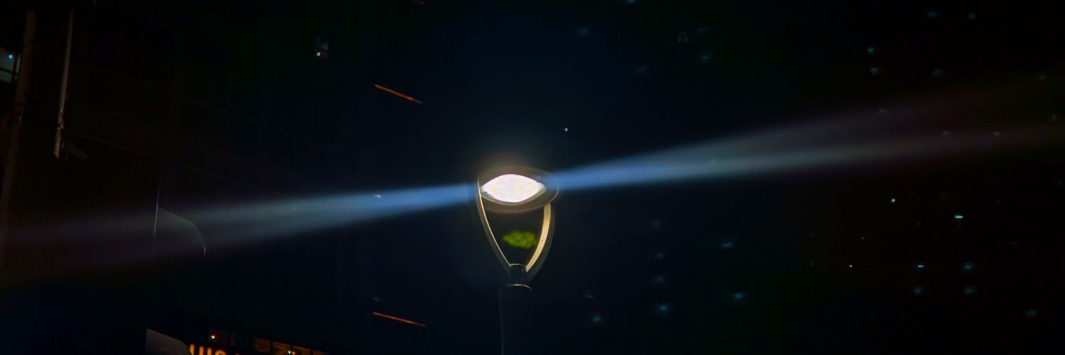 alexander bimo banner