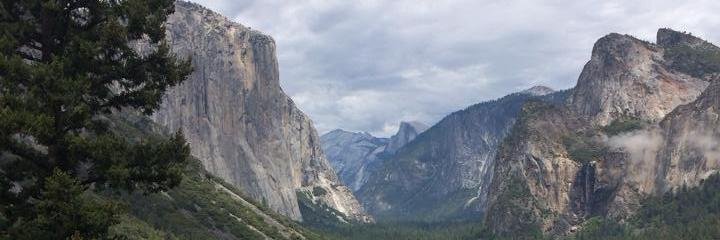 Jackie Koenig banner