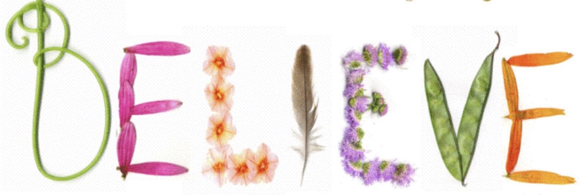 Shannon M.Tobin banner