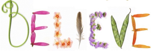 shannonmtobin Profile Banner