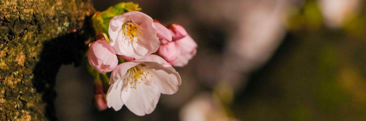 chrwcm's profile banner image