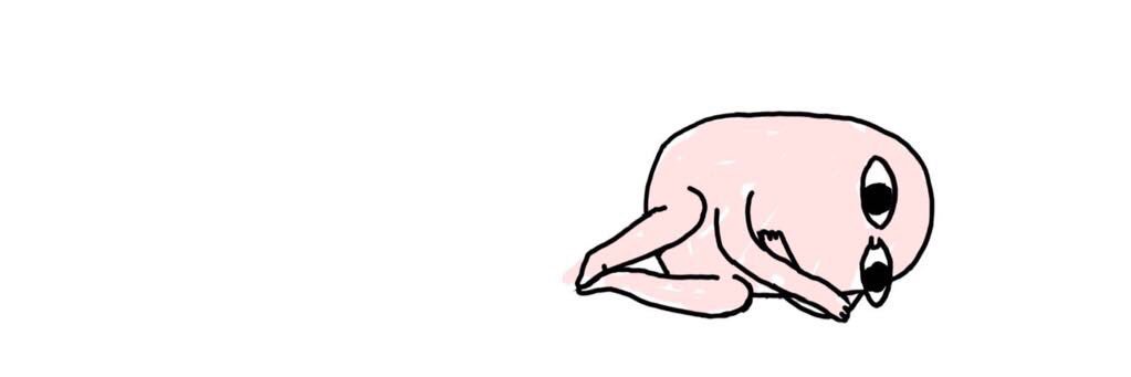 pptchnrkap's profile banner image