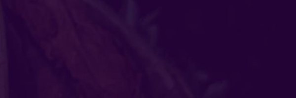 Yulaaine Profile Banner