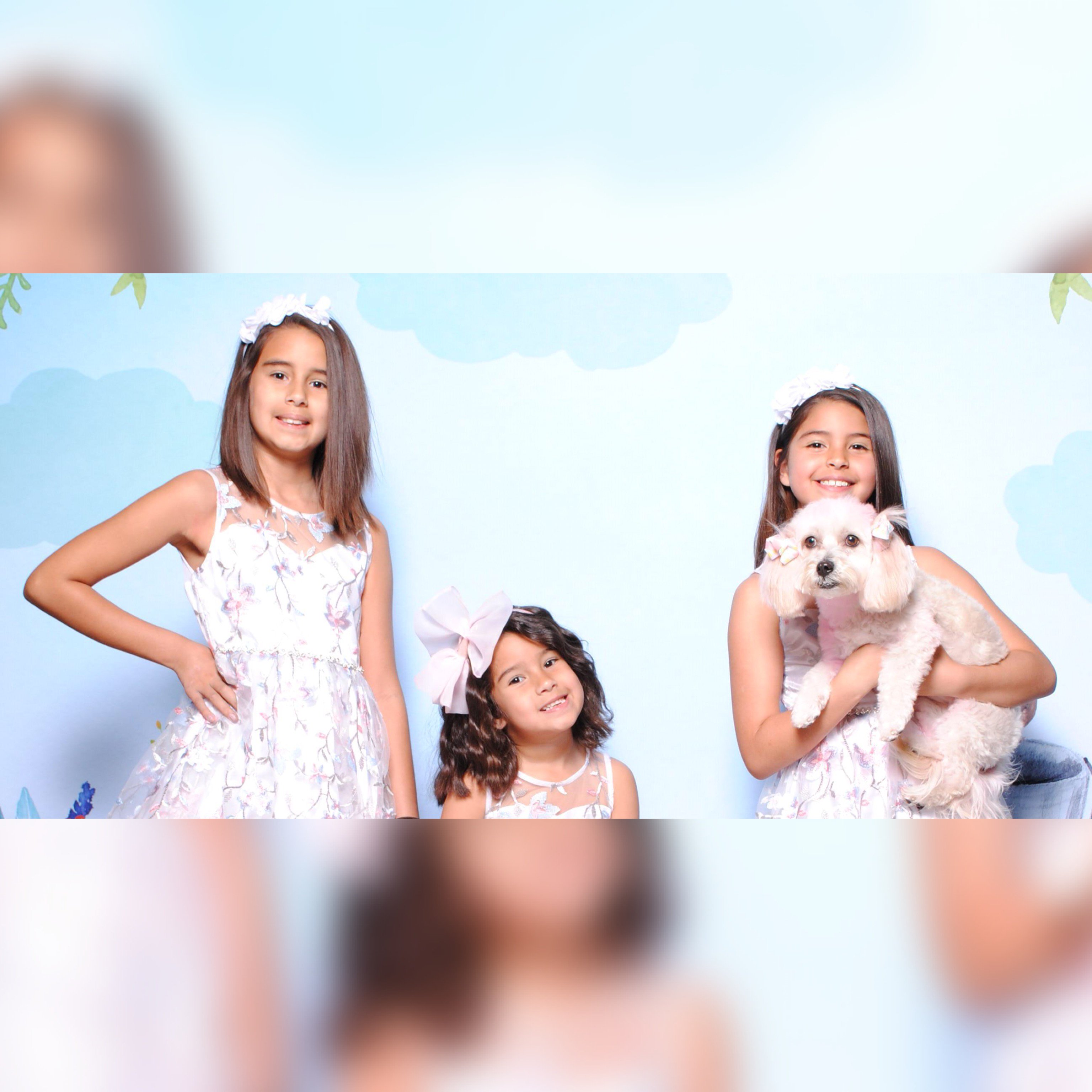 tiffpattershall's profile banner image