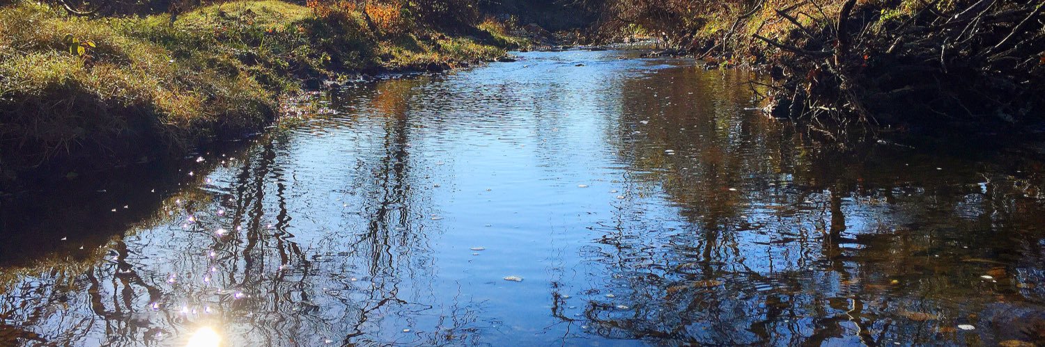 Trey Kirkpatrick banner