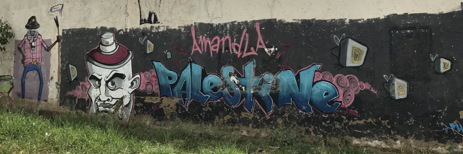 Amandla Palestine banner
