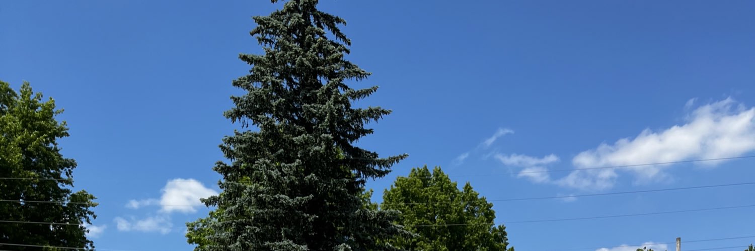 LibrtyBelle's profile banner image