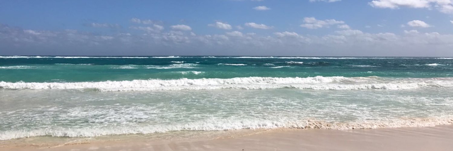 mimi_aeb's profile banner image