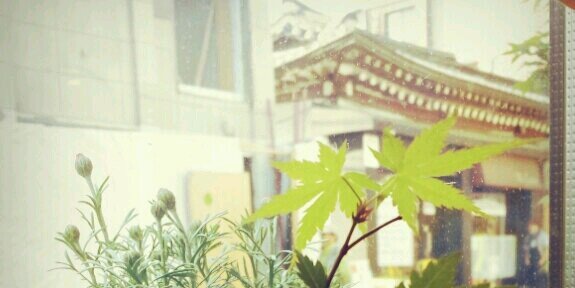 funafuffu0815's profile banner image