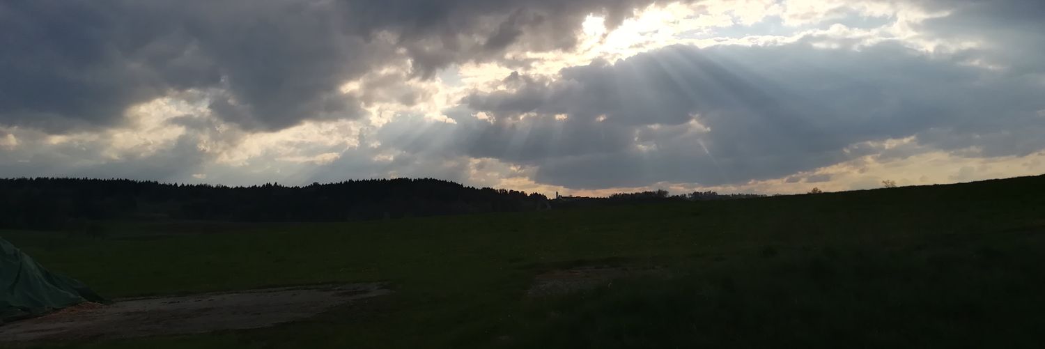 einundzwanzig's profile banner image