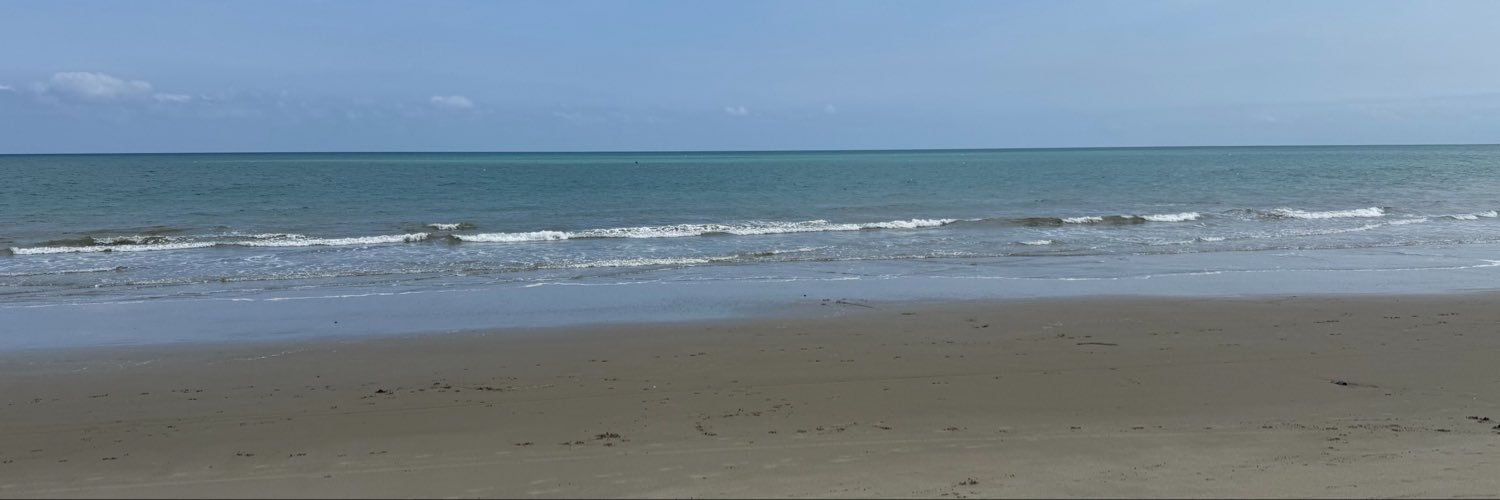 jose_flores_s's profile banner image