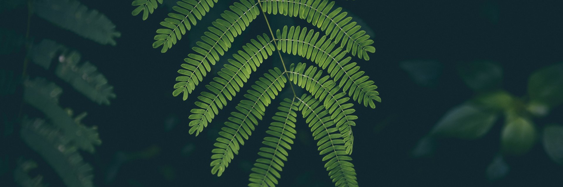 codyknox's profile banner image