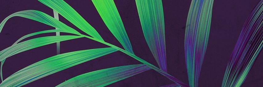Biginc2's profile banner image