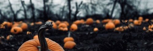 _OctobersMoon's profile banner image