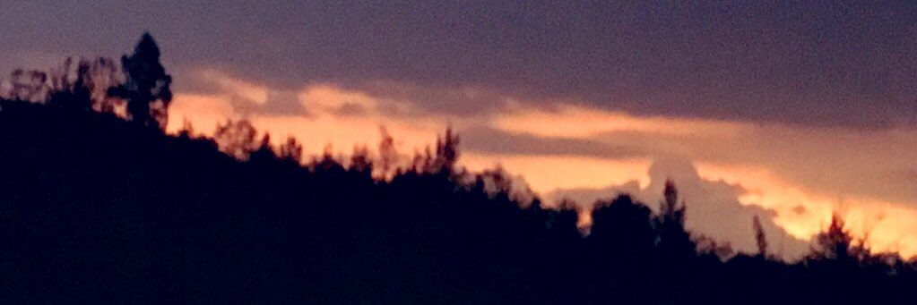 chloemonsreal's profile banner image