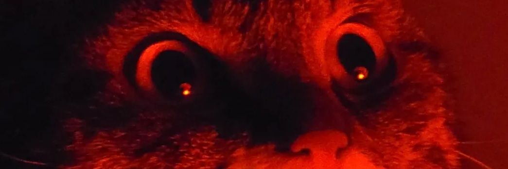 TurtleSillyBand's profile banner image