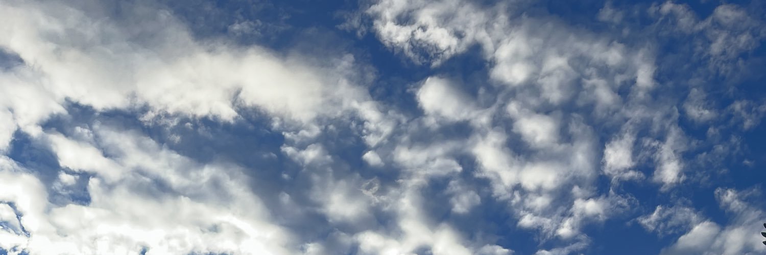 brilyanabela's profile banner image