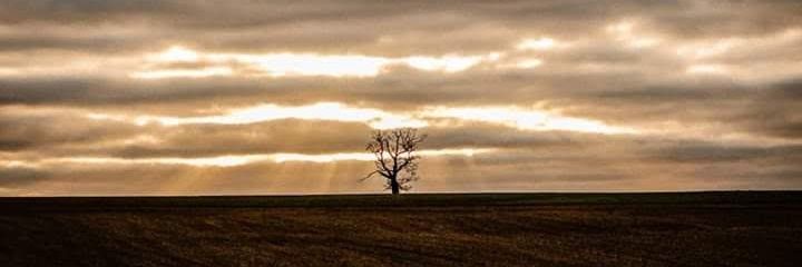 Emma Payne💙🇺🇦 banner