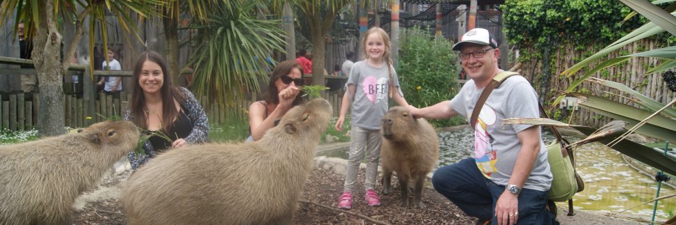 Stephen Burns banner