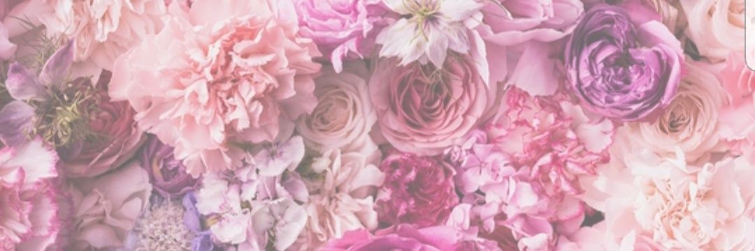 _LinaMina's profile banner image