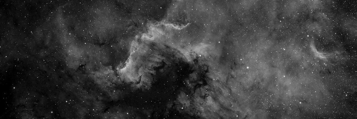 anobilisgorse's profile banner image