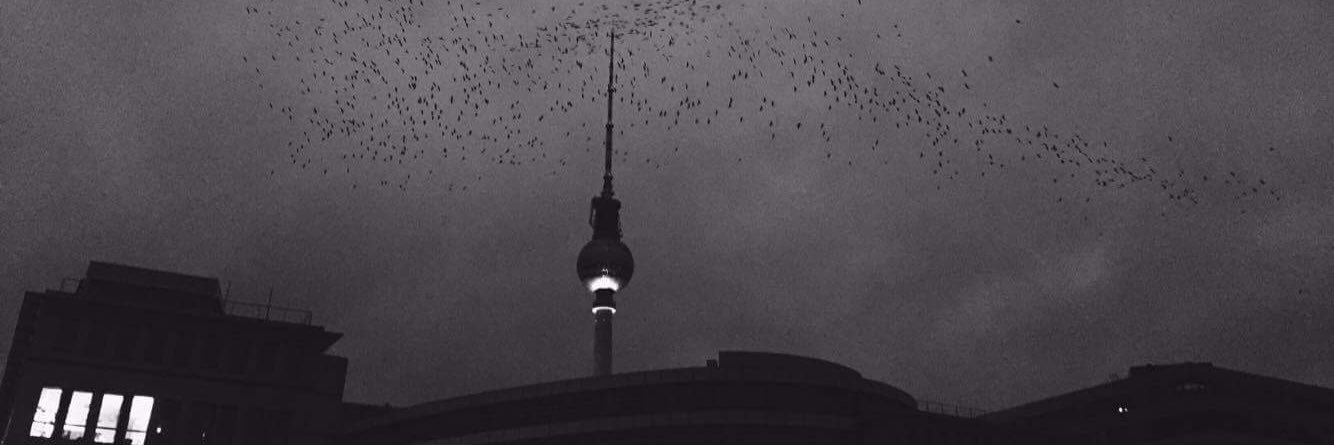 Joshua Val Martin banner