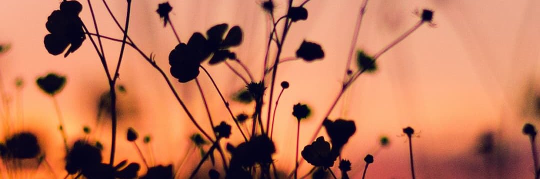 NLIG26's profile banner image