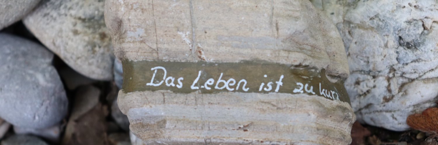 Simon | Einbinden ist illegitim banner