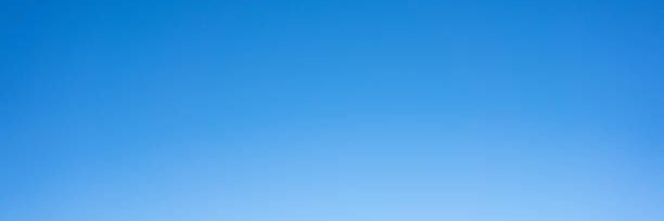 David Ealey banner