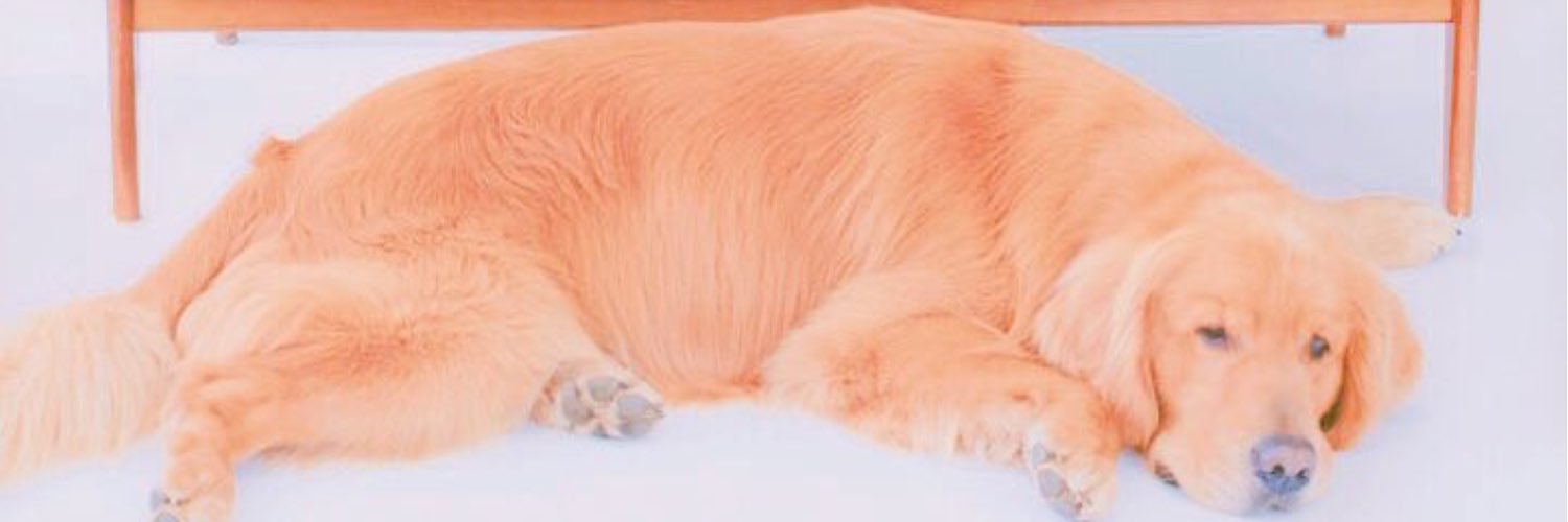 h_u_88's profile banner image