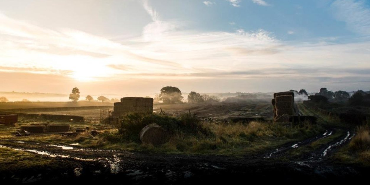 Elizabeth Oliver banner