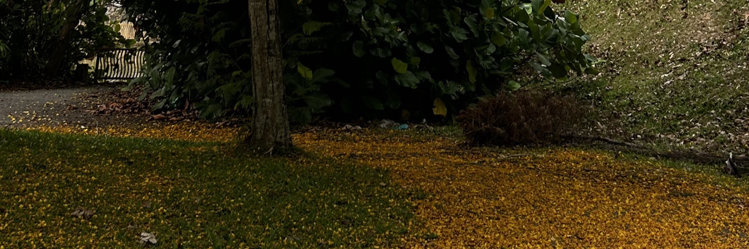 avrgAlia's profile banner image