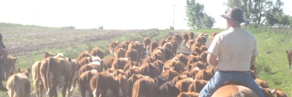 Ploffen Profile Banner