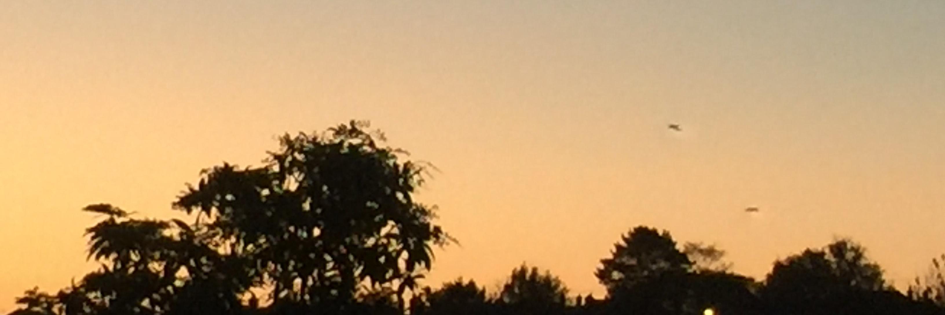 Talpa 💙🇺🇦 banner