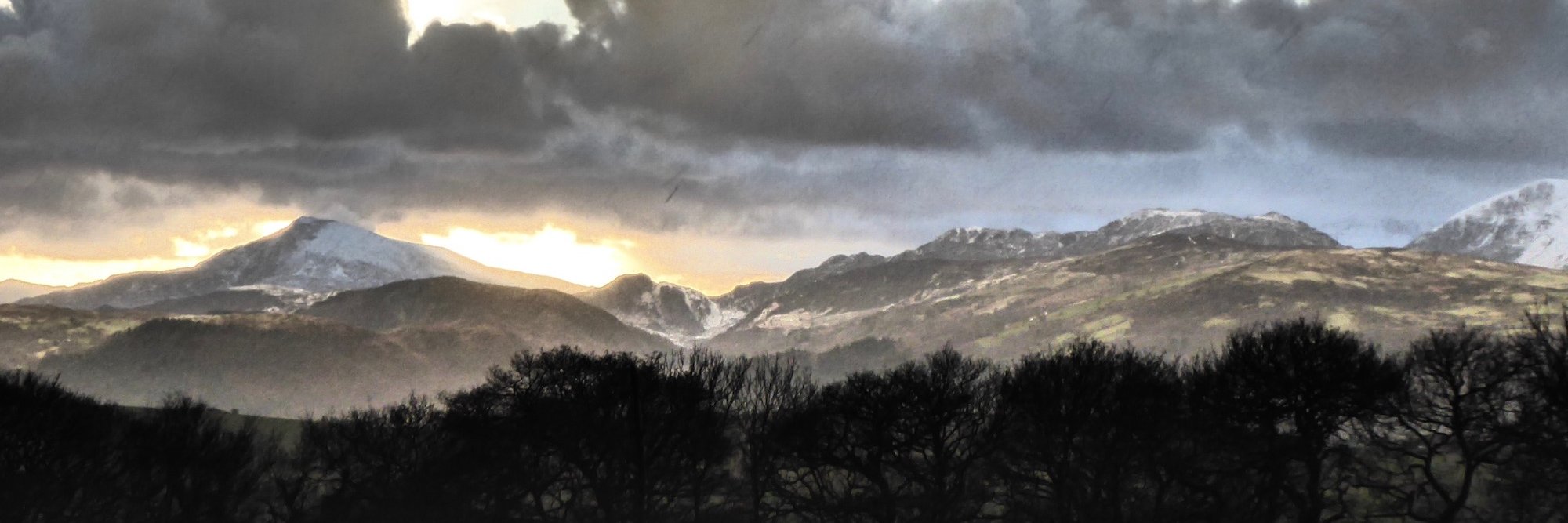 Z e v o n e s q u e ✒️ banner