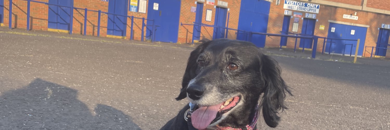 Victoria 💙🤍💙🤍 banner