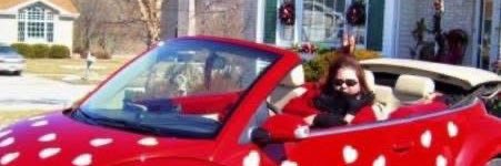 MyRedBeetle's profile banner image