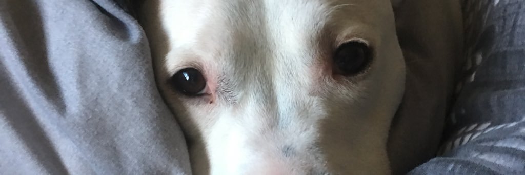 scotty2409's profile banner image
