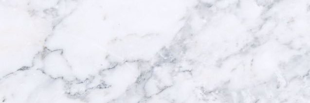 Dani_Beaar's profile banner image