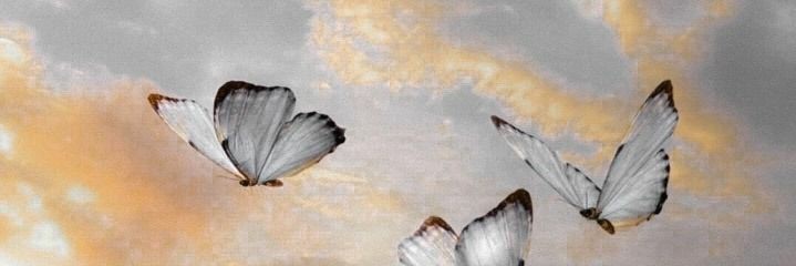 yuipatc's profile banner image