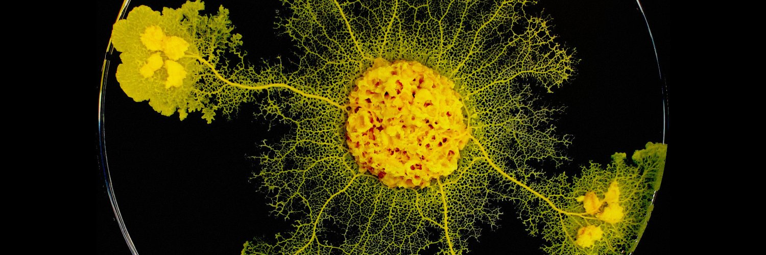 Iñigo Blanco banner