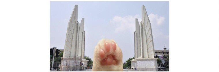 petcha__'s profile banner image