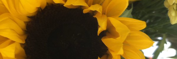 scaryjay Profile Banner